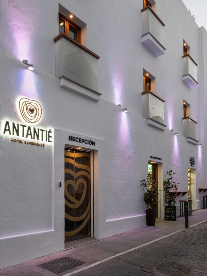 Hotel Antantie